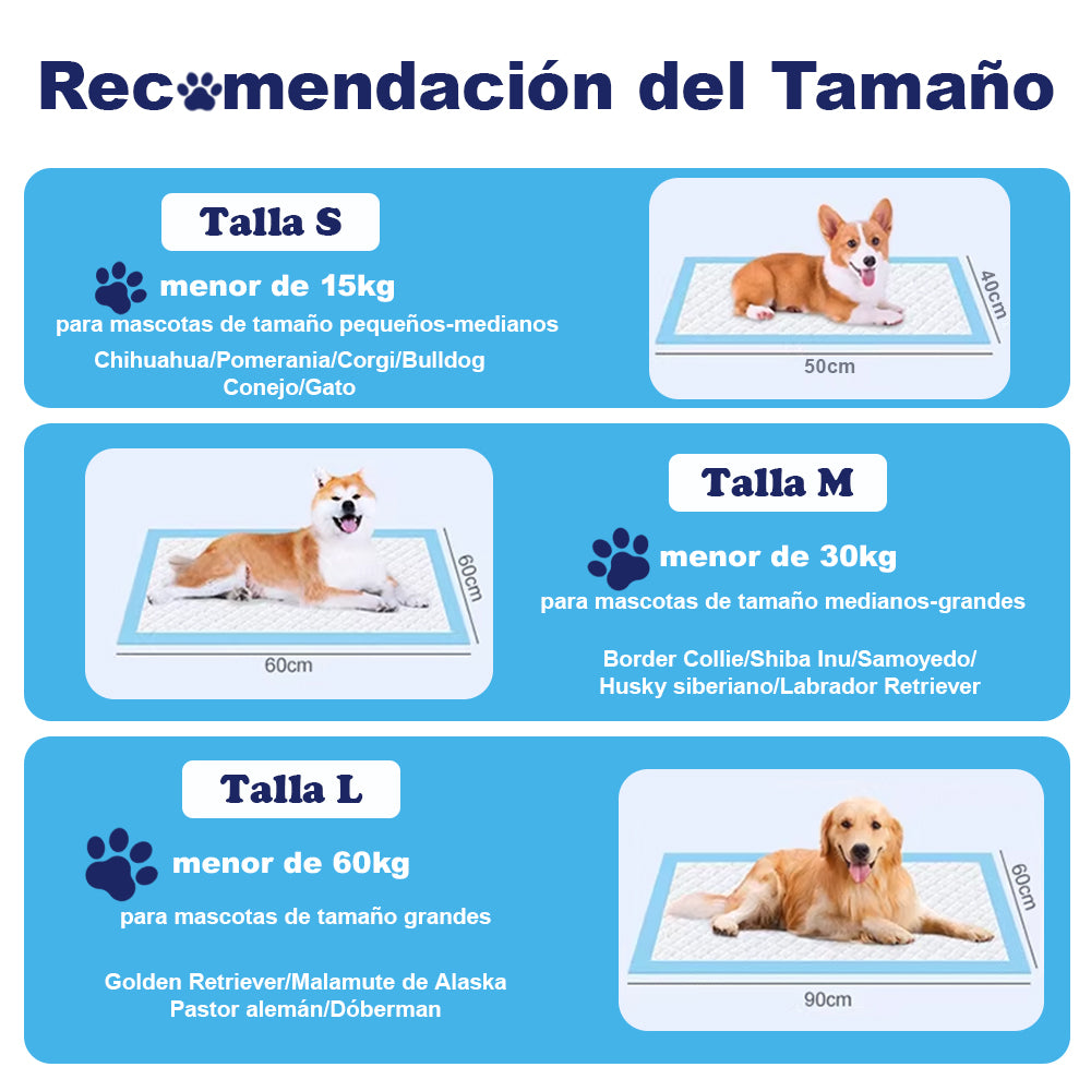 AYA MARKT Pack de 50 Empapadores de Perros y Gatos, Almohadillas de Entrenamiento y Adiestramiento de Perros y Cachorros, Alfombrillas Desechables para Mascotas,Diseño de 5 Capas a Prueba de Fugas con Superficie de Secado rápido