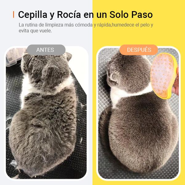 tos-no1a-i-t5fjg24jzw-no/429a6732aaae44d4970ba1ba9b2de238