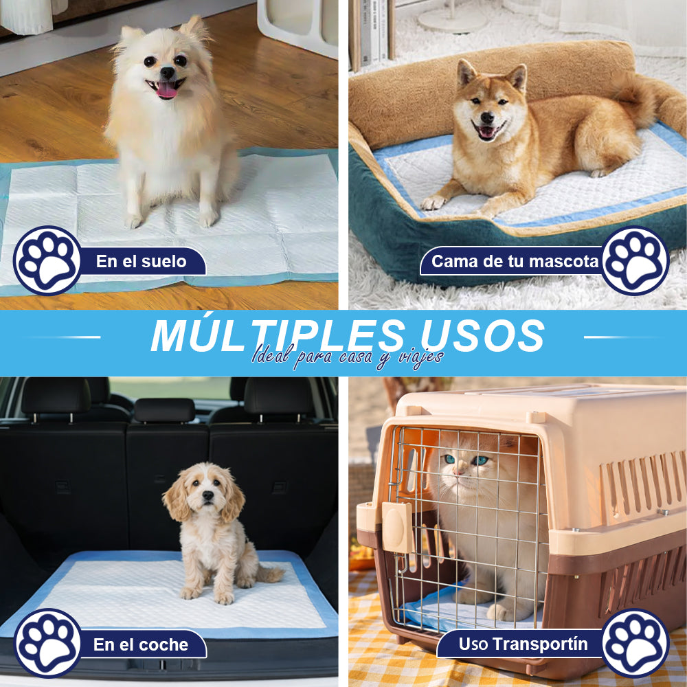 AYA MARKT Pack de 50 Empapadores de Perros y Gatos, Almohadillas de Entrenamiento y Adiestramiento de Perros y Cachorros, Alfombrillas Desechables para Mascotas,Diseño de 5 Capas a Prueba de Fugas con Superficie de Secado rápido